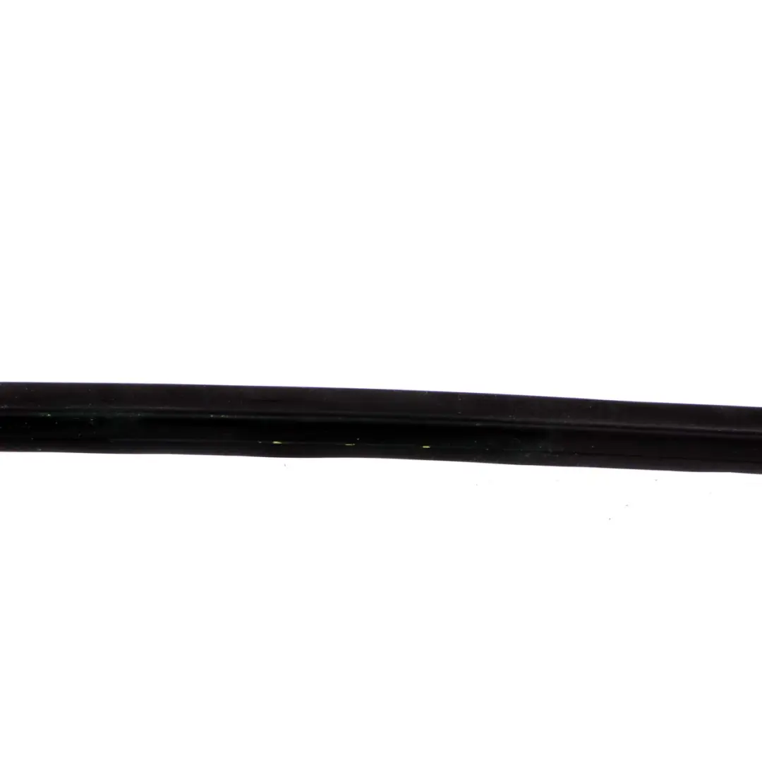 Roof Trim Strip Left Moulding Door Front to Mini Countryman F60 with Part number 7390179 Mini Countryman F60 Roof Trim Strip Left Moulding Door Front - SKU 7390179 - Part number 7390179