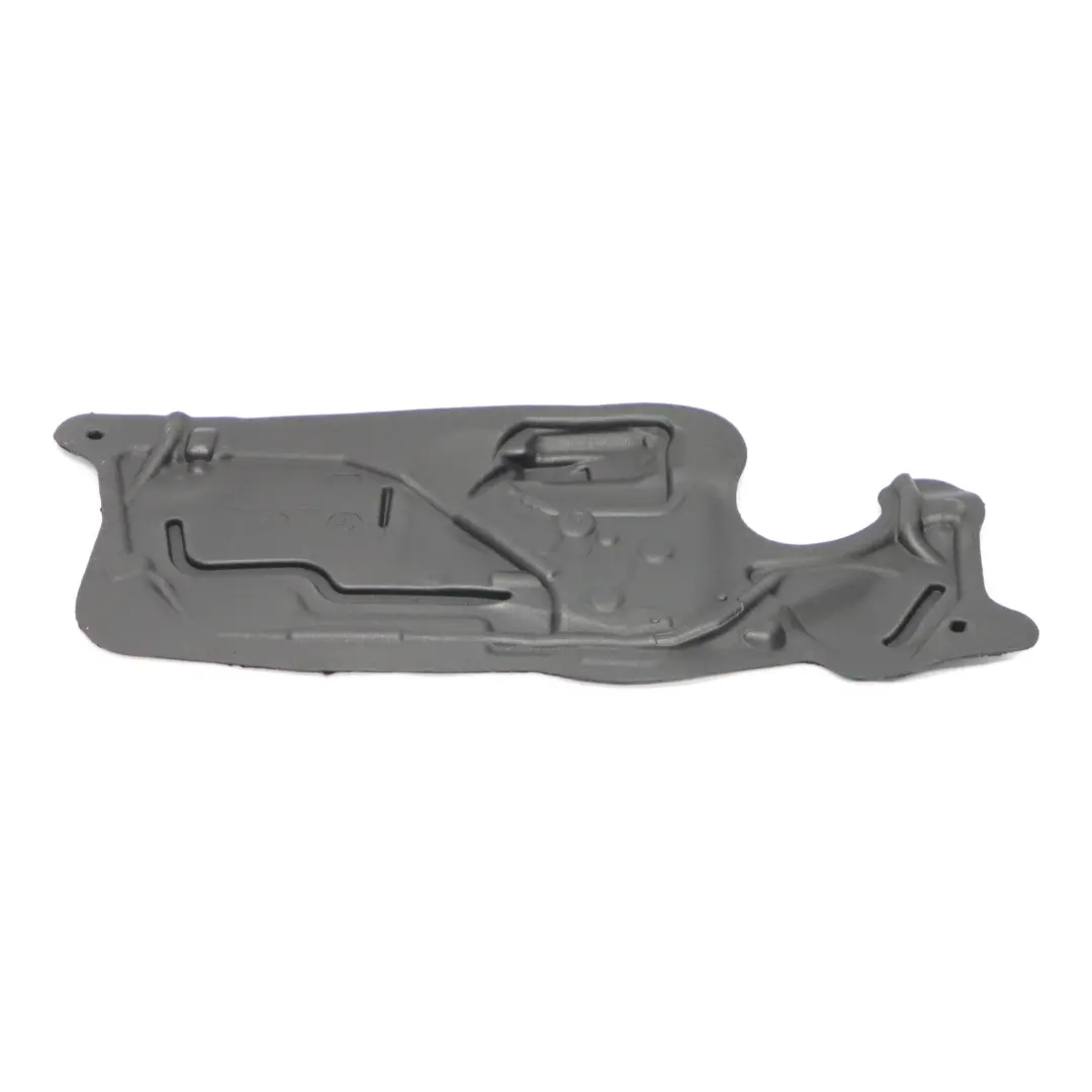  Schallschutztür BMW F32 F33 F82 F83 M4 Platte vorne links - SKU 7391725 - Teilenummer 7391725