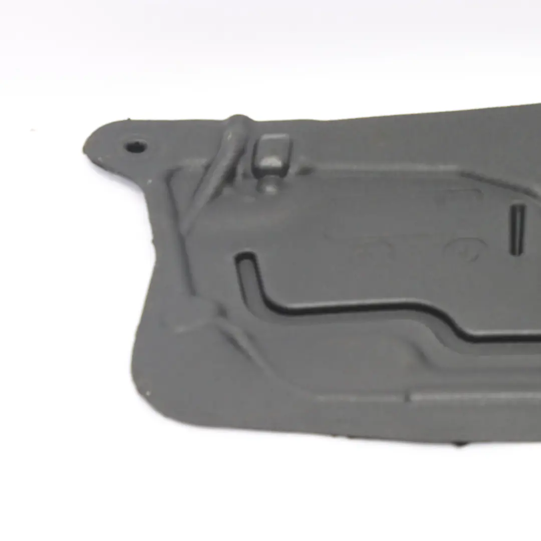  Schallschutztür BMW F32 F33 F82 F83 M4 Platte vorne links - SKU 7391725 - Teilenummer 7391725