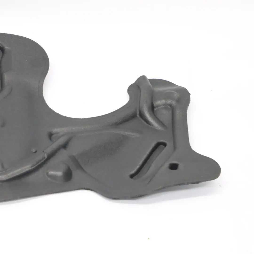  Schallschutztür BMW F32 F33 F82 F83 M4 Platte vorne links - SKU 7391725 - Teilenummer 7391725