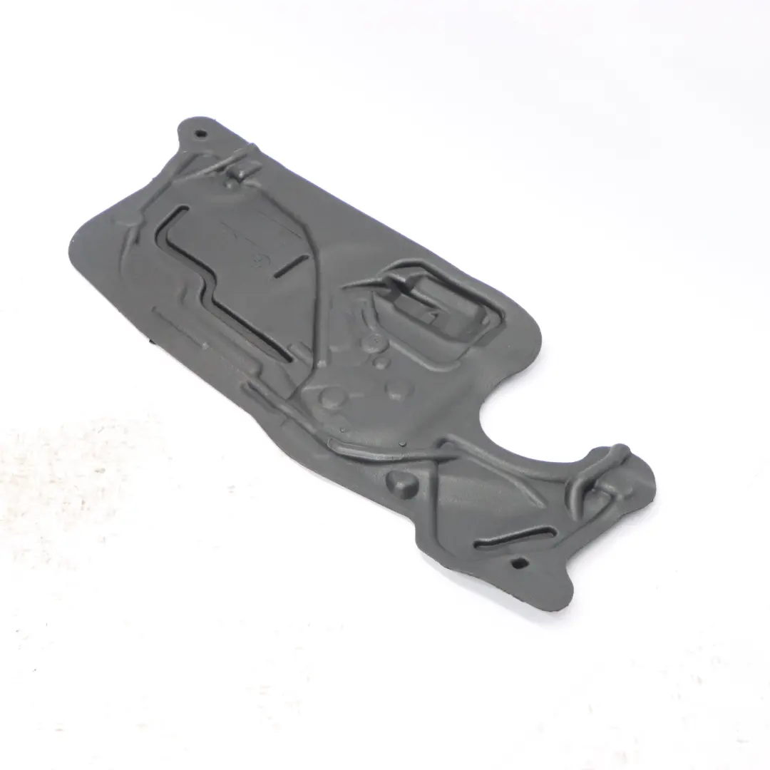  Schallschutztür BMW F32 F33 F82 F83 M4 Platte vorne links - SKU 7391725 - Teilenummer 7391725
