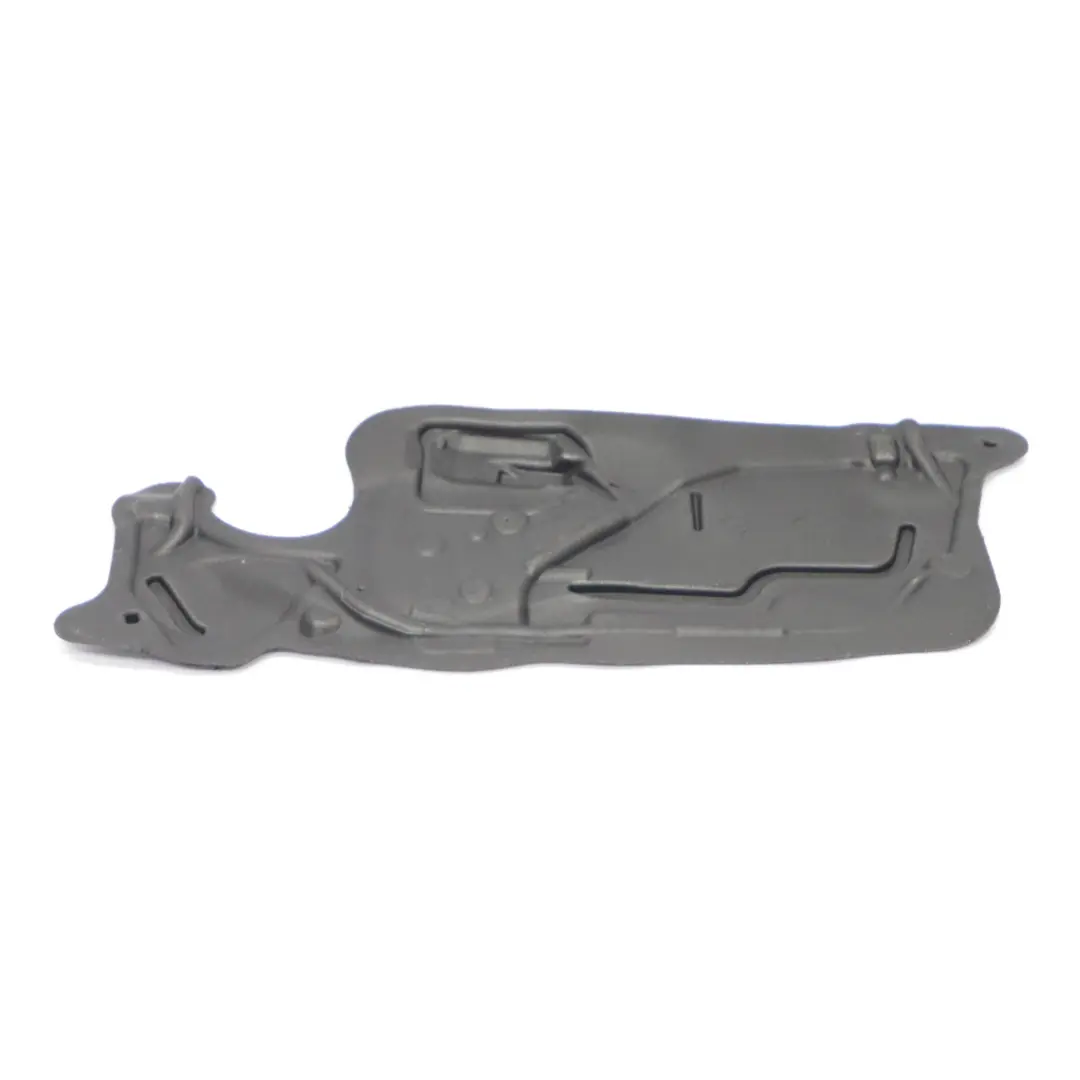  Schallschutztür BMW F32 F33 F82 F83 M4 Platte vorne rechts - SKU 7391726 - Teilenummer 7391726