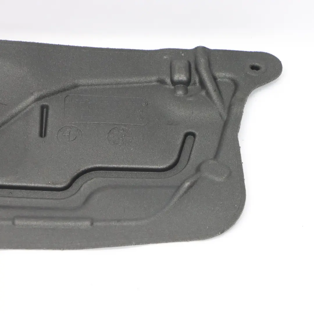  Schallschutztür BMW F32 F33 F82 F83 M4 Platte vorne rechts - SKU 7391726 - Teilenummer 7391726