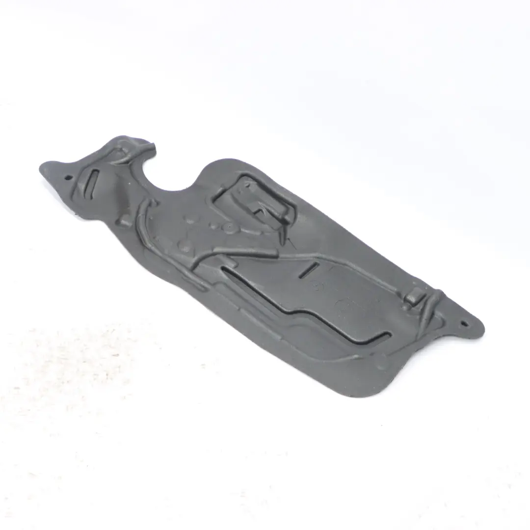  Schallschutztür BMW F32 F33 F82 F83 M4 Platte vorne rechts - SKU 7391726 - Teilenummer 7391726