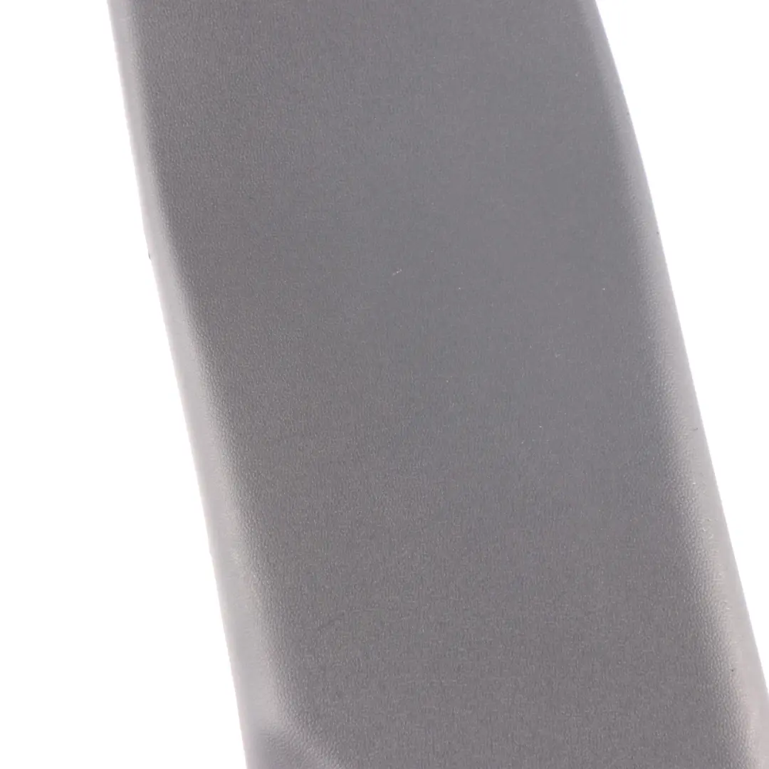 Mini F54 Cubierta Pilar Columna B Inferior Izquierdo 7349249 - SKU 7392291 - Número de pieza 7392291