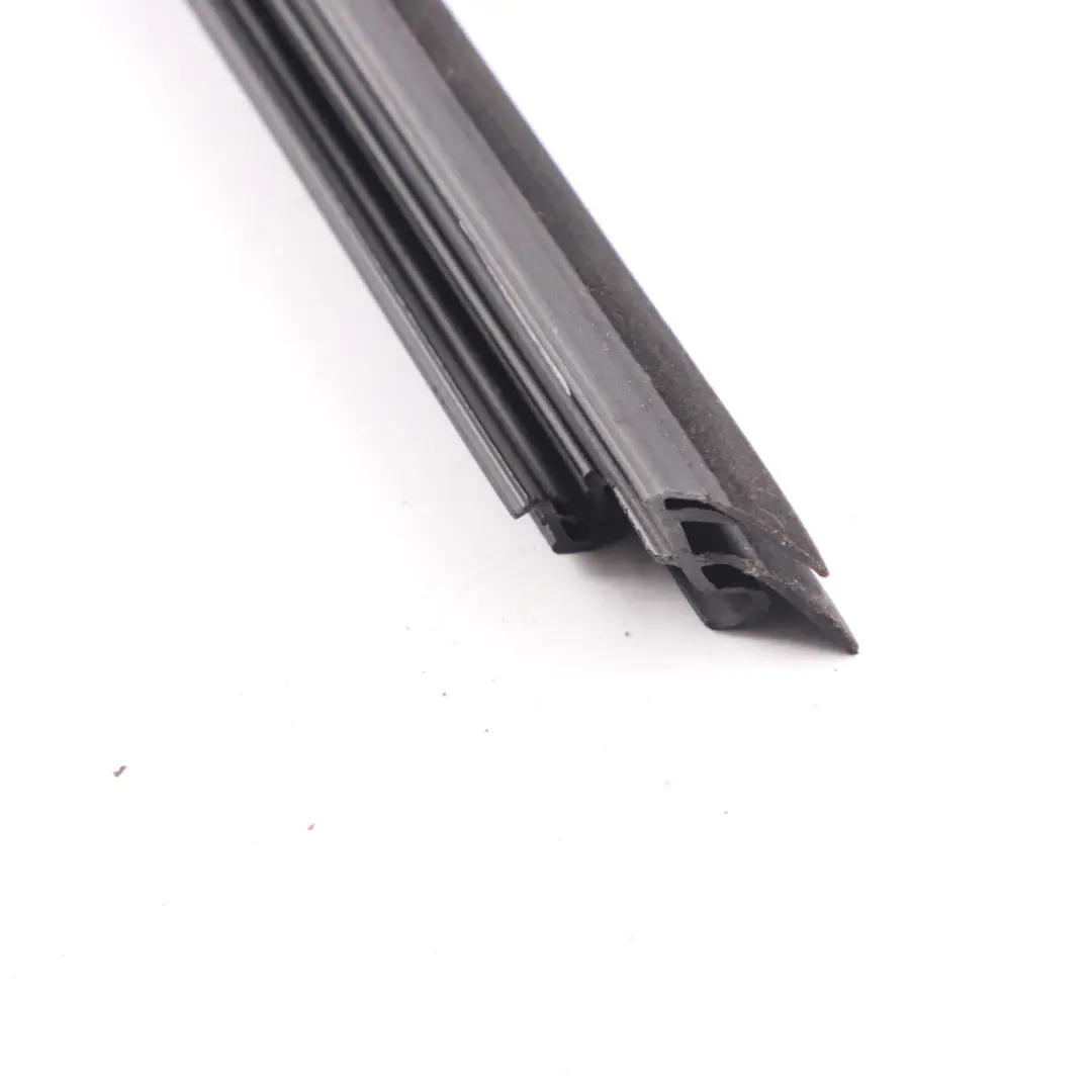 BMW X3 G01 Fenster Dichtung Tür hinten rechts Strip Weatherstrip - SKU 7393430 - Teilenummer 7393430
