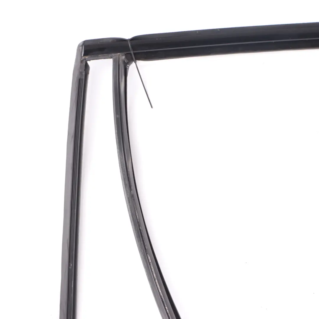 BMW X3 G01 Door Window Guide Strip Molding Rubber Rear Left N/S - SKU 7393447 - Part number 7393447