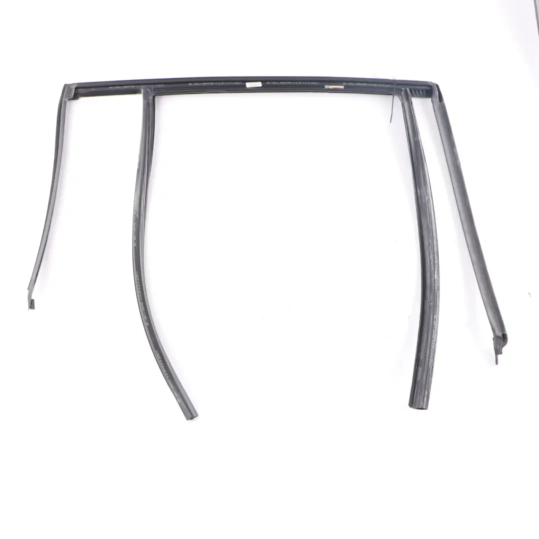 BMW X3 G01 Door Window Guide Strip Molding Rubber Rear Left N/S - SKU 7393447 - Part number 7393447