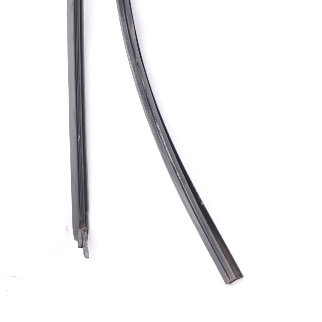 BMW X3 G01 Door Window Guide Strip Molding Rubber Rear Left N/S - SKU 7393447 - Part number 7393447