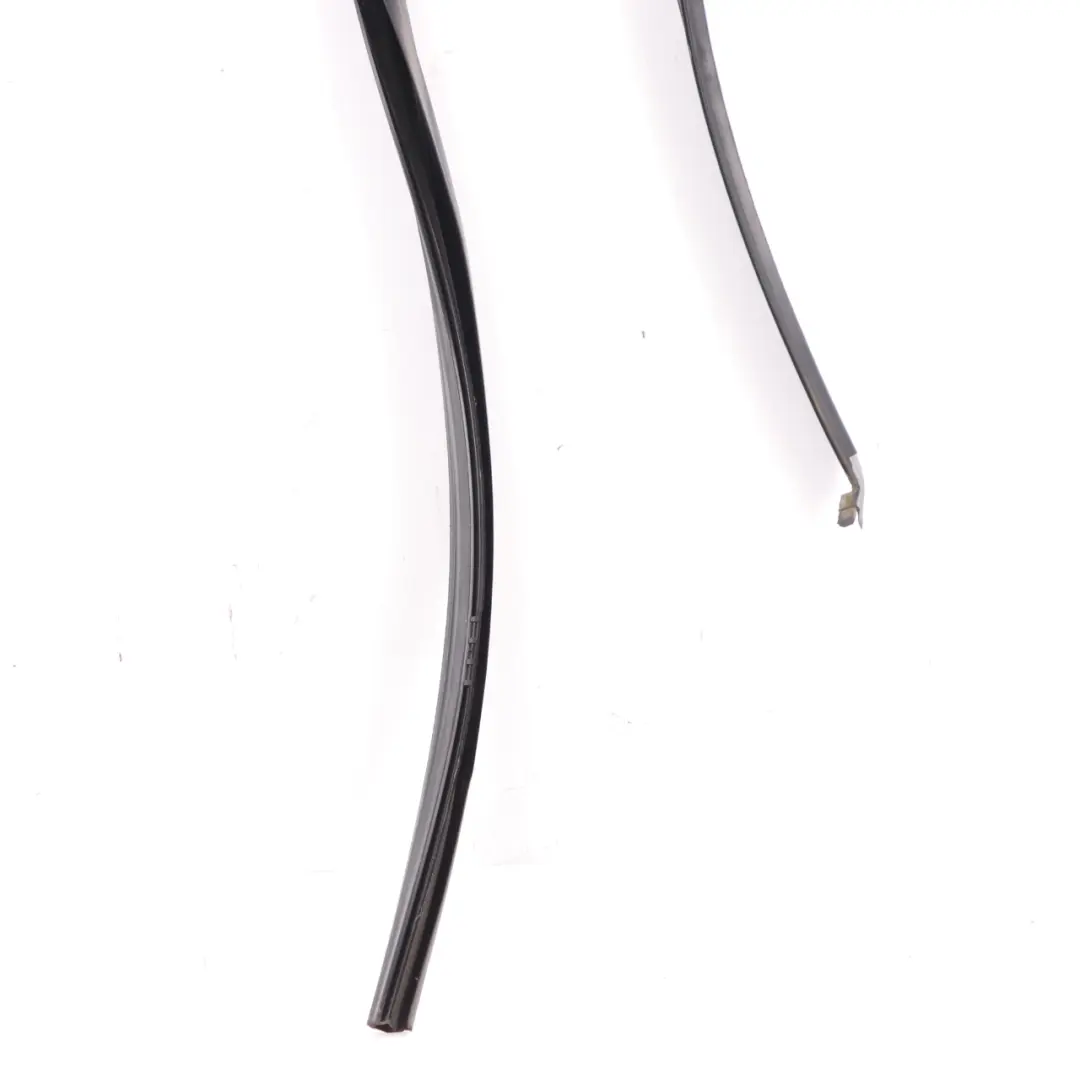 Puerta Ventana Guía Tira Moldura Caucho Trasero Izquierdo para BMW X3 G01 con número de pieza 7393447 BMW X3 G01 Puerta Ventana Guía Tira Moldura Caucho Trasero Izquierdo - SKU 7393447 - Número de pieza 7393447