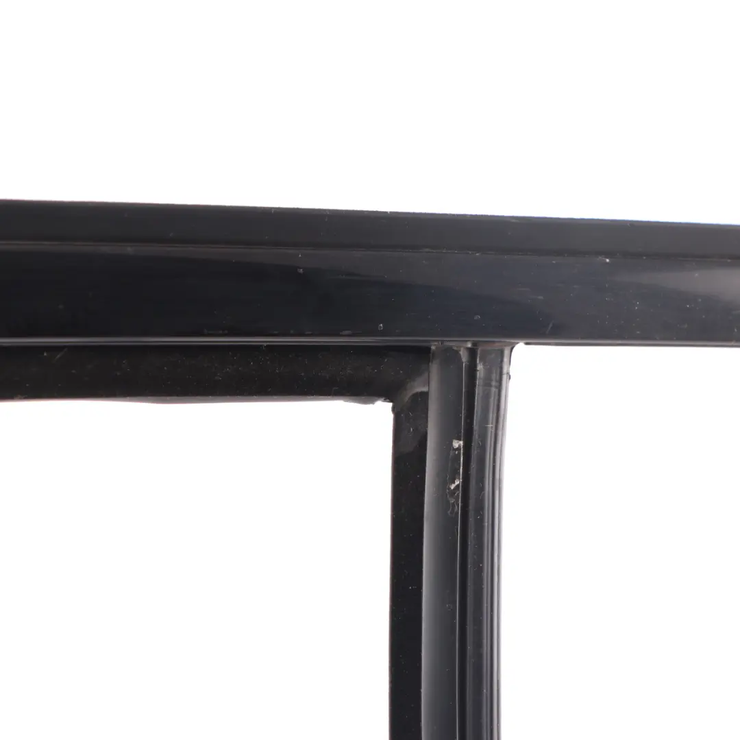 BMW X3 G01 Door Window Guide Strip Molding Rubber Rear Left N/S - SKU 7393447 - Part number 7393447