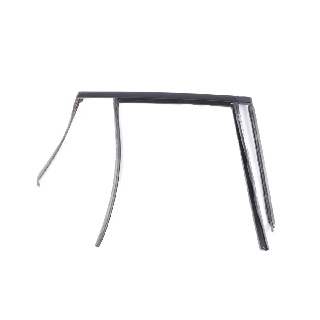 BMW X3 G01 Door Seal Window Guide Rear Right O/S Sealing Rubber Gasket - SKU 7393448 - Part number 7393448