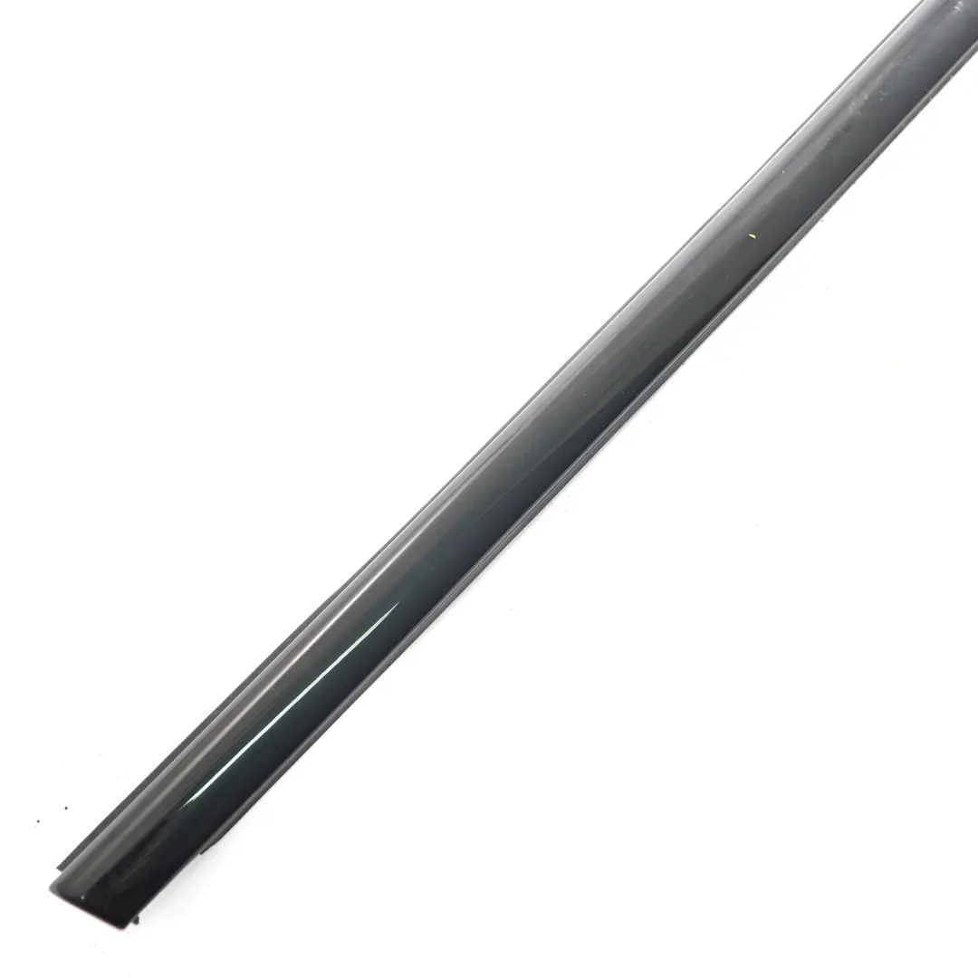 BMW X1 F48 Window Strip Door Front Right O/S Moulding Trim High Gloss - SKU 7410462 - Part number 7410462