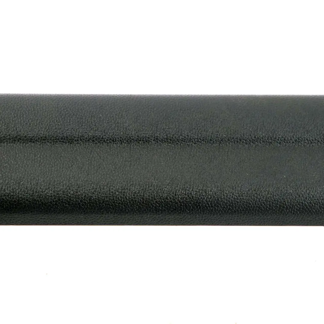 Coperchio Rivestimento Ingresso Striscia anteriore sinistra destra Nero per Mini F60 con numero di parte 7413835 Mini F60 Coperchio Rivestimento Ingresso Striscia anteriore sinistra destra Nero - SKU 7413835 - Numero di parte 7413835