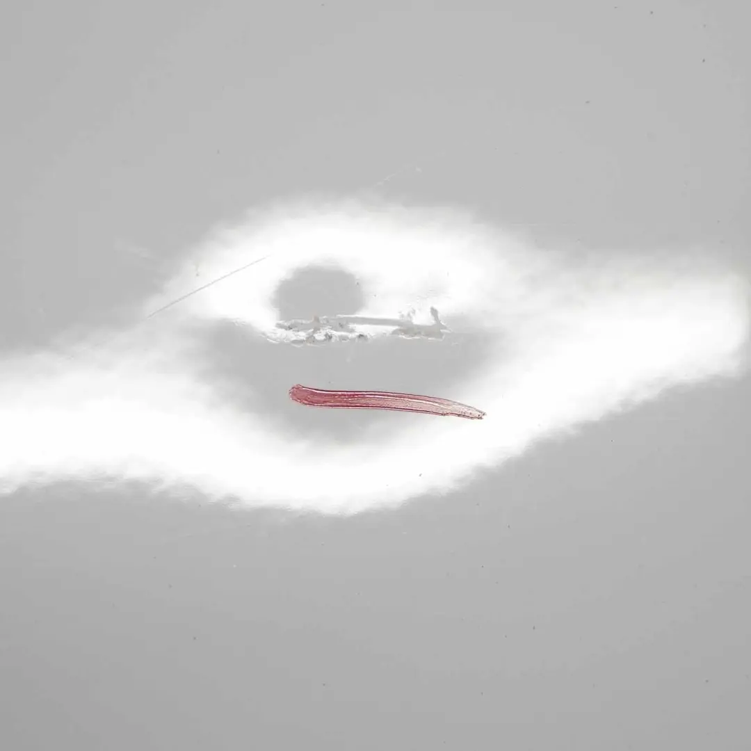 Boot Trunk Lid BMW F20 F21 LCI Rear Tailgate Alpinweiss Alpine White - 300 to with Part number 7420695 Boot Trunk Lid BMW F20 F21 LCI Rear Tailgate Alpinweiss Alpine White - 300 - SKU 7420695-AW2 - Part number 7420695