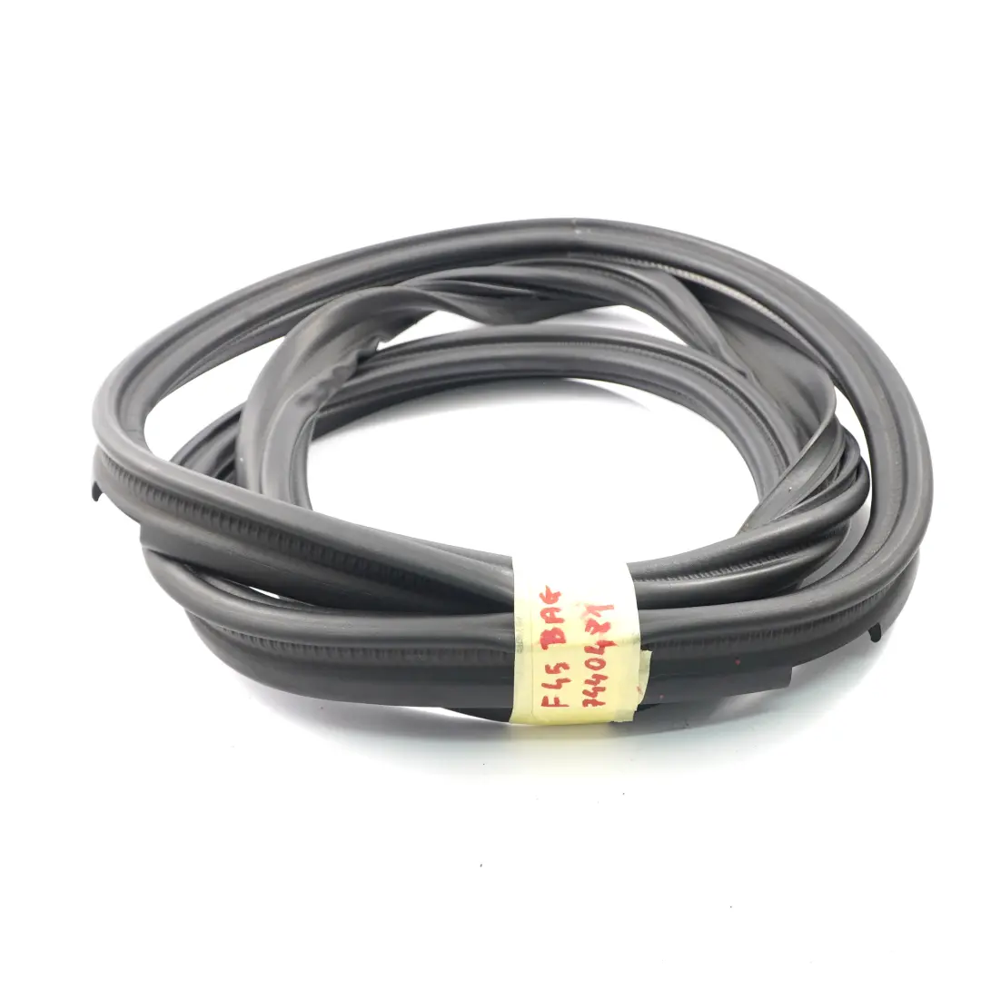 Joint D'Étanchéité De Porte De Coffre De Hayon Active Tourer pour BMW F45 à propos du numéro de pièce 7174404 BMW F45 Joint D'Étanchéité De Porte De Coffre De Hayon Active Tourer - SKU 7440481 - Numéro de pièce 7174404