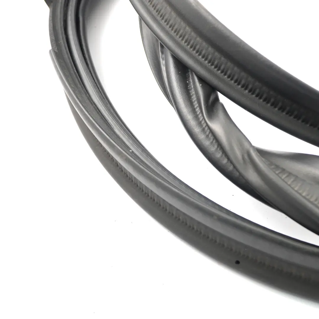 Guarnizione Portellone Bagagliaio Active Tourer per BMW F45 con numero di parte 7174404 BMW F45 Guarnizione Portellone Bagagliaio Active Tourer - SKU 7440481 - Numero di parte 7174404