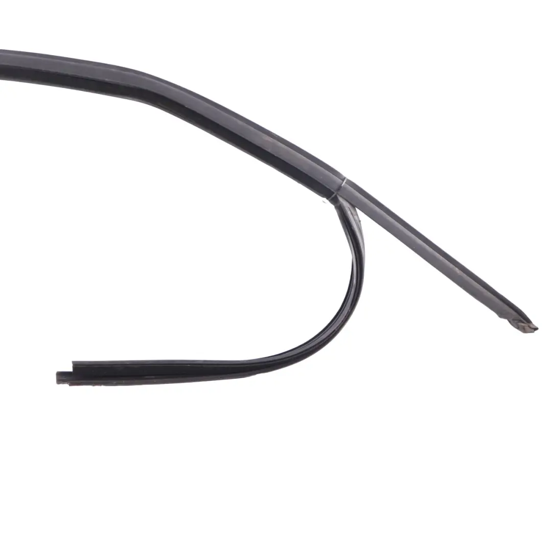 BMW F40 Window Guide Seal Gasket Front Right O/S Door Rubber Strip - SKU 7452344 - Part number 7452344