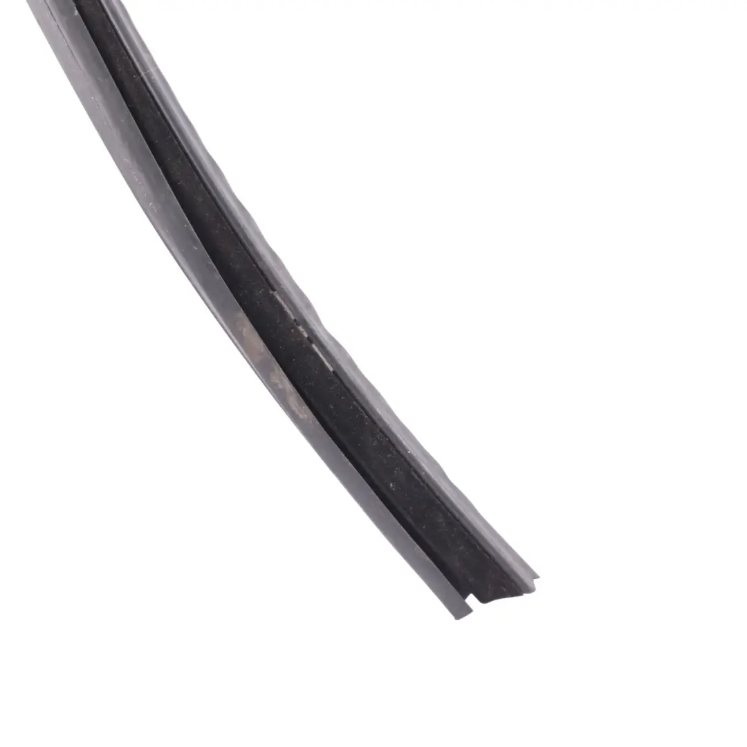 Window Guide Seal Gasket Front Right O/S Door Rubber Strip to BMW F40 with Part number 7452344 BMW F40 Window Guide Seal Gasket Front Right O/S Door Rubber Strip - SKU 7452344 - Part number 7452344