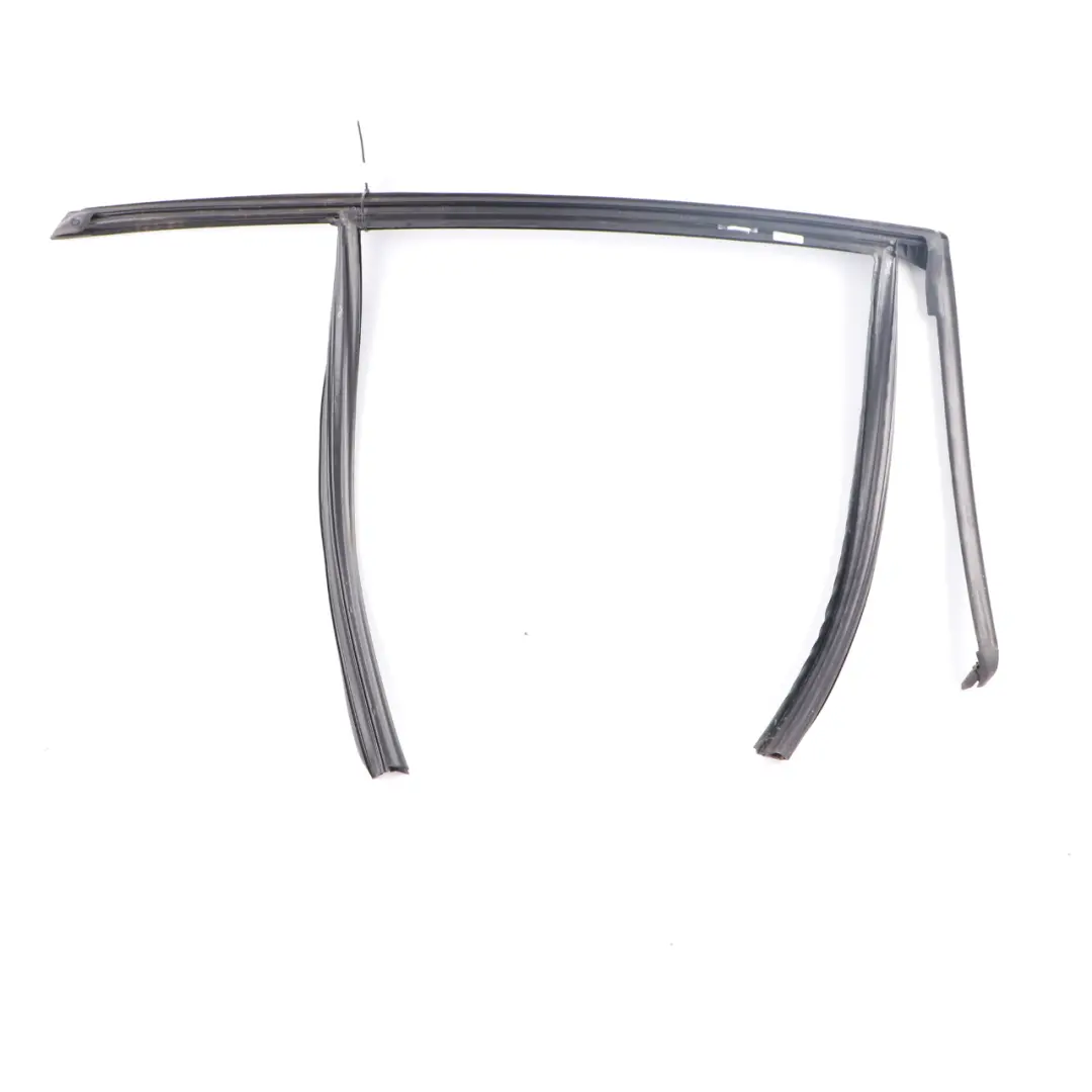 BMW F40 Guía Sellado Ventana Puerta Trasera Izquierda - SKU 7452345 - Número de pieza 7452345