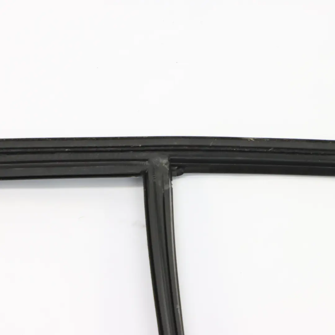 BMW F40 Fensterführungsdichtung Gummidichtung hinten rechts - SKU 7452346 - Teilenummer 7452346