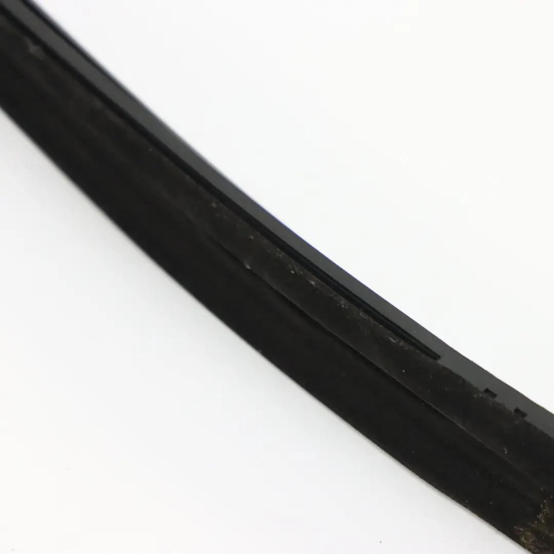 BMW F40 Fensterführungsdichtung Gummidichtung hinten rechts - SKU 7452346 - Teilenummer 7452346