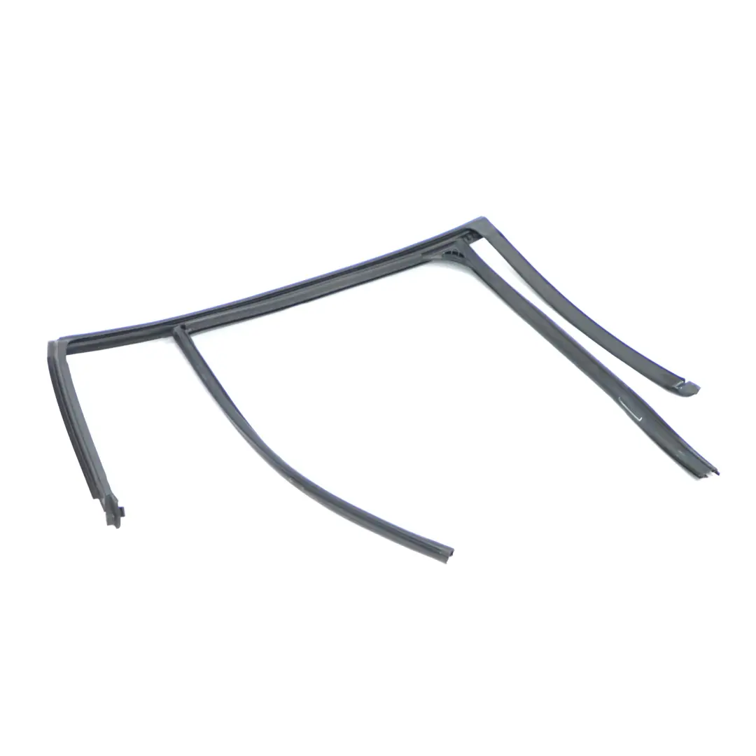  Door Seal BMW X4 F26 Window Guide Rear Left N/S Sealing Rubber Strip - SKU 7454167 - Part number 7454167