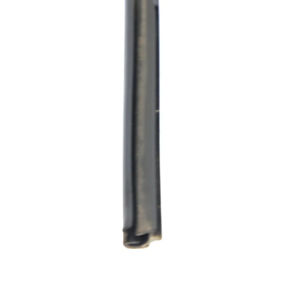  Guarnizione Porta BMW X4 F26 Guida Posteriore Destra Sigillatura - SKU 7454168 - Numero di parte 7454168