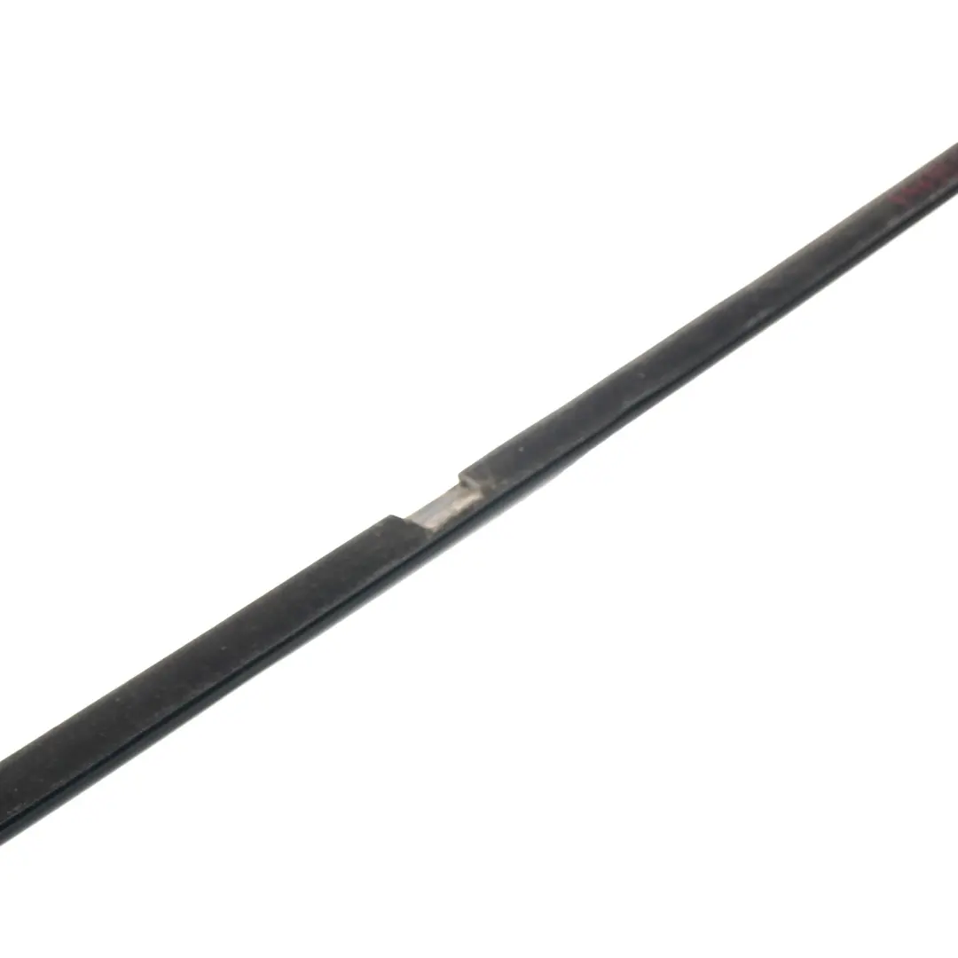 Striscia finestrino della porta posteriore sinistra lucentezza per BMW F15 con numero di parte 7465923 BMW F15 Striscia finestrino della porta posteriore sinistra lucentezza - SKU 7465923 - Numero di parte 7465923
