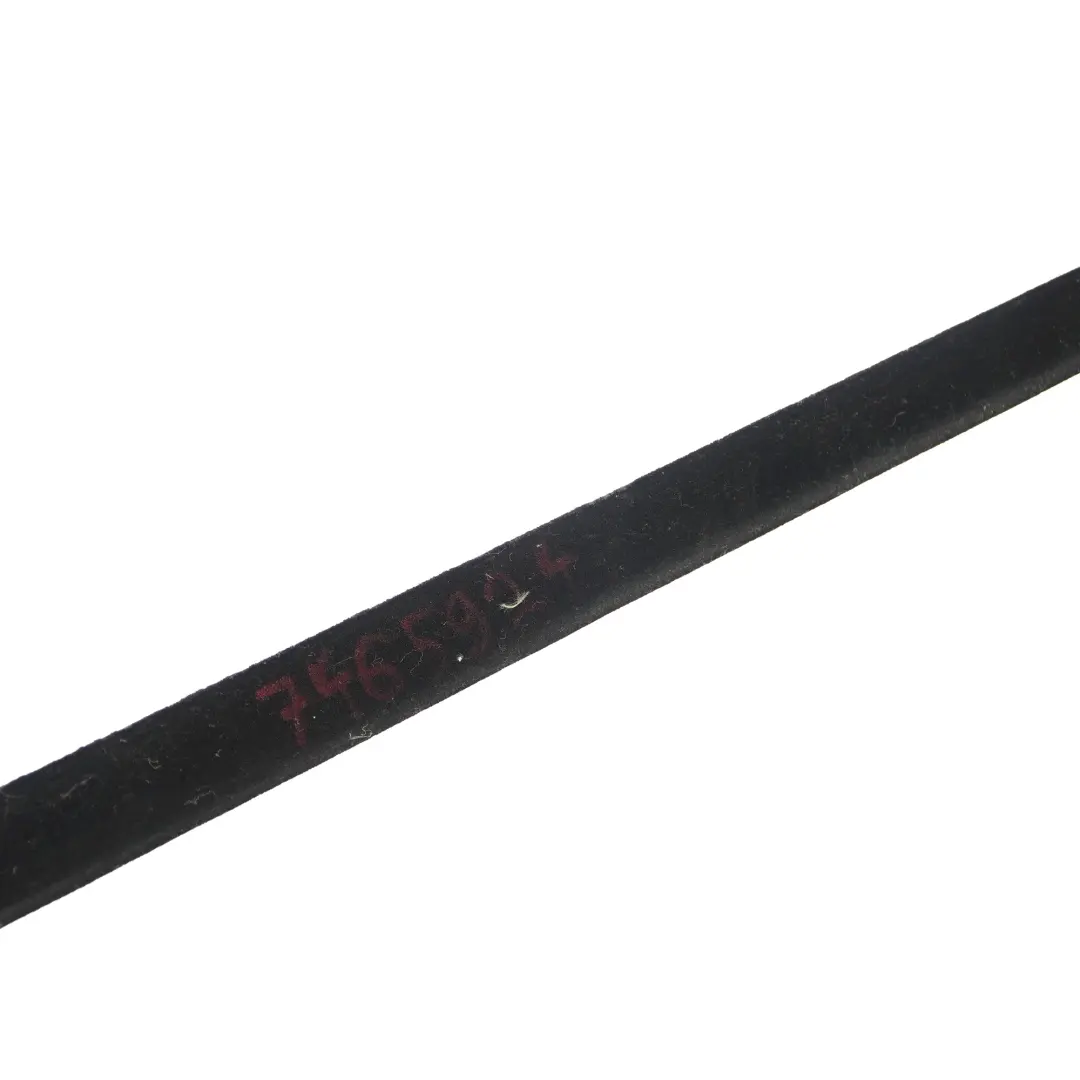 Weatherstrip Strip Door Window Rear Right O/S High Gloss to BMW X5 F15 with Part number 7465924 BMW X5 F15 Weatherstrip Strip Door Window Rear Right O/S High Gloss - SKU 7465924 - Part number 7465924