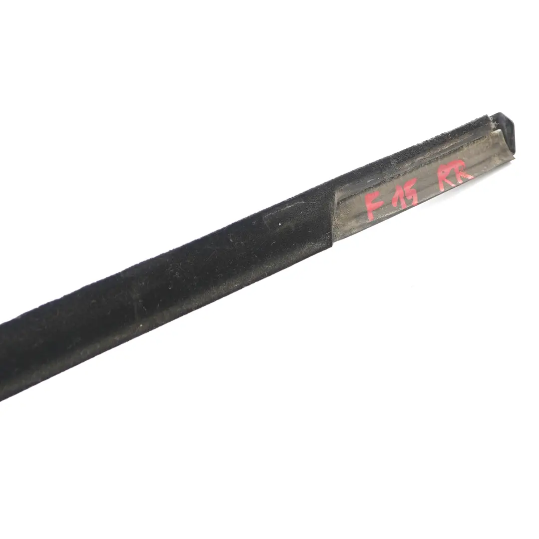 BMW F15 Paraurti Striscia finestra porta posteriore destra lucentezza - SKU 7465924 - Numero di parte 7465924