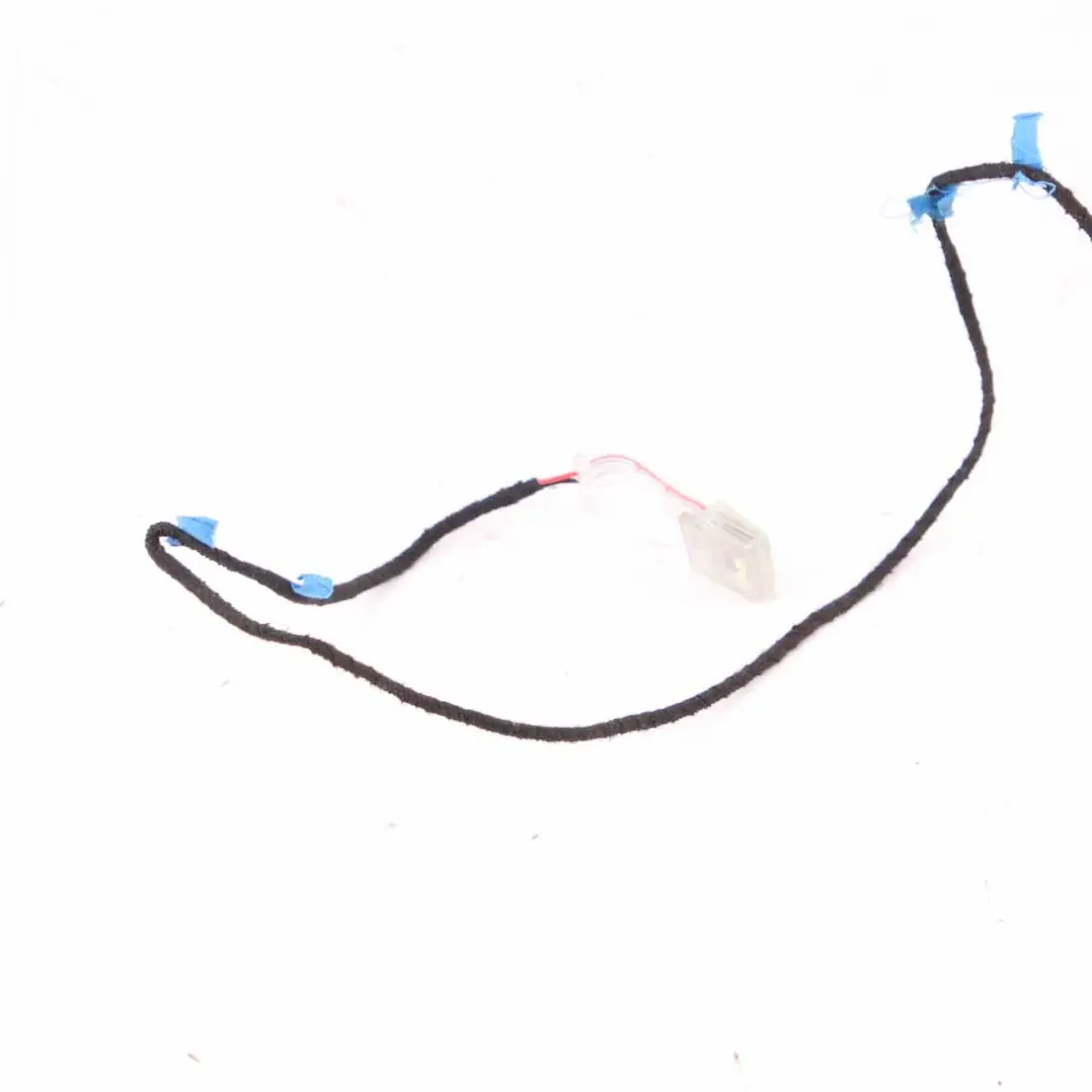  Door Lamp BMW F25 F26 Led Handle Lighting Light Front Rear Left N/S 7252537 - SKU 7473683 - Part number 7473683