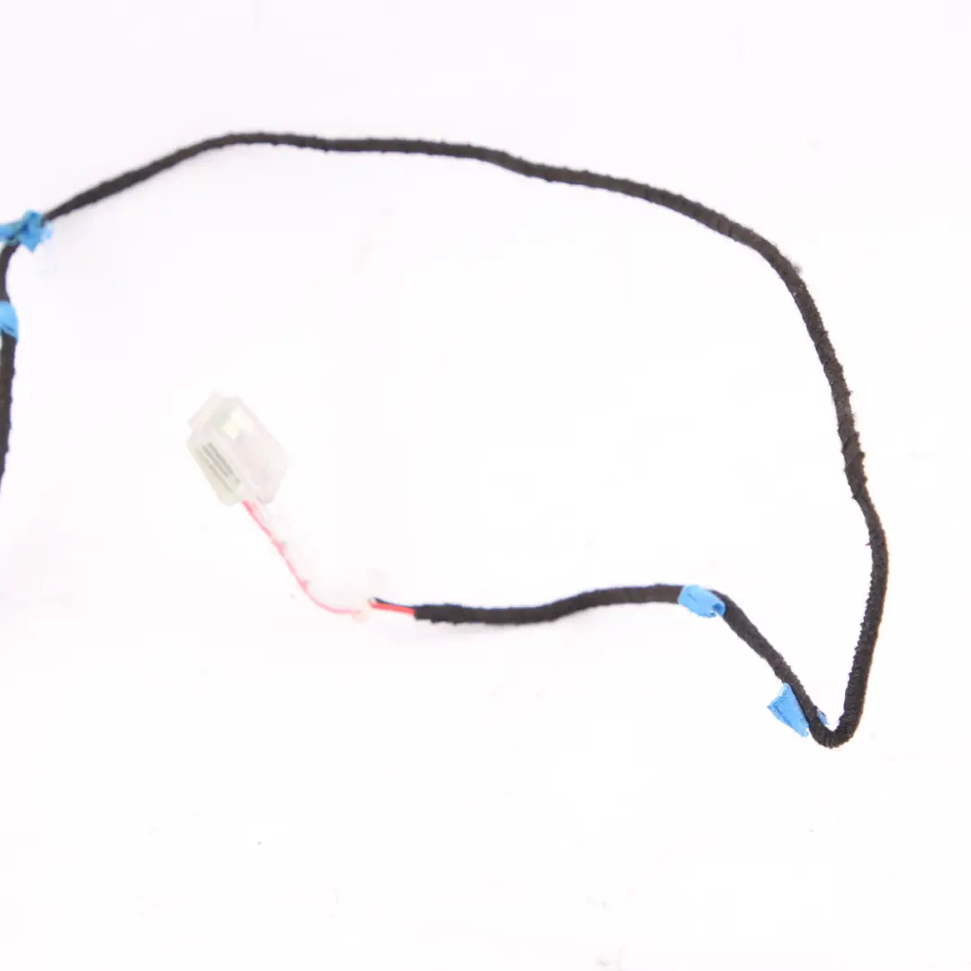  Lampada Porta BMW F25 F26 Led Maniglia Anteriore Posteriore Sinistra 7252537 - SKU 7473683 - Numero di parte 7473683