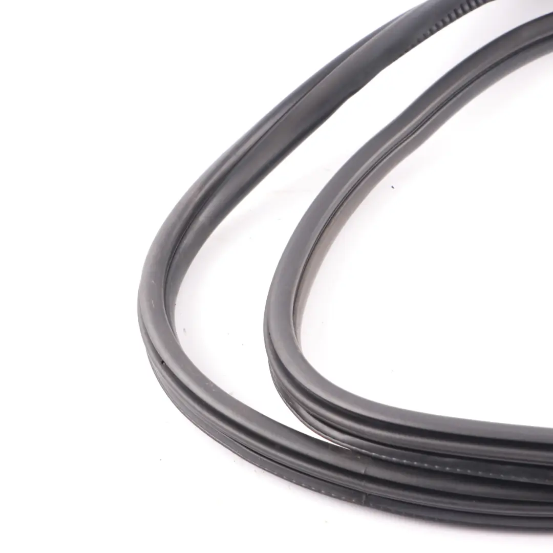 Guarnizione porta Mini F60 posteriore sinistra destra Guarnizione gomma nera - SKU 7475754 - Numero di parte 7475754