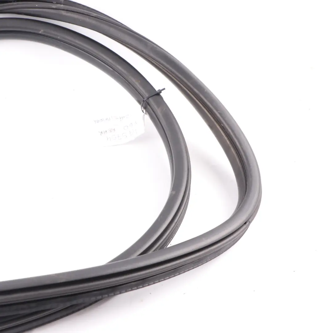  Guarnizione porta Mini F60 posteriore sinistra destra Guarnizione gomma nera - SKU 7475754 - Numero di parte 7475754