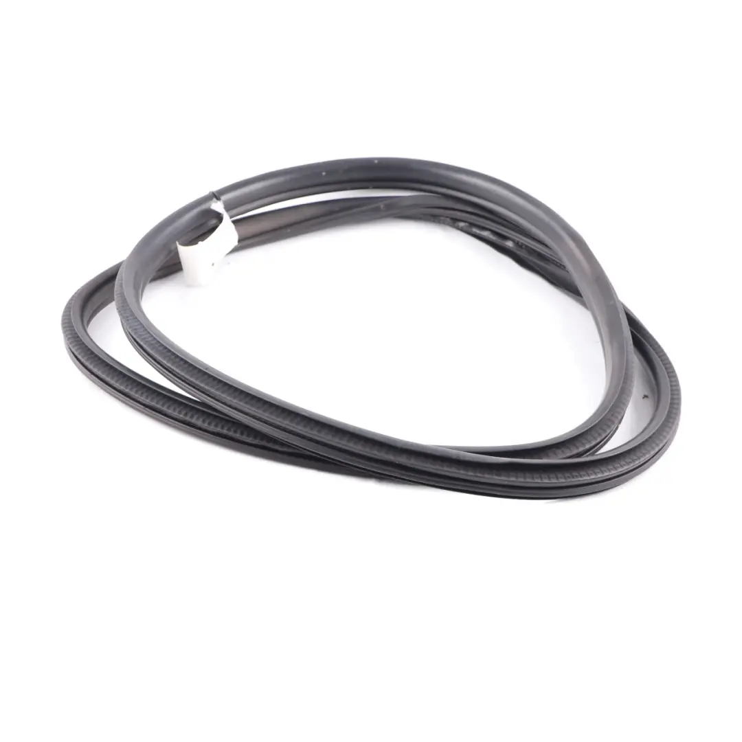  Guarnizione porta Mini F60 posteriore sinistra destra Guarnizione gomma nera - SKU 7475754 - Numero di parte 7475754