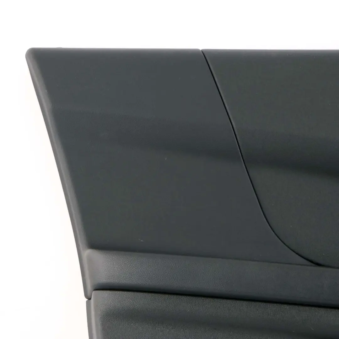 Anteriore Sinistra Rivestimento Pannello Porta Carbonio Nero per Mini Countryman F60 con numero di parte 7476499 Mini Countryman F60 Anteriore Sinistra Rivestimento Pannello Porta Carbonio Nero - SKU 7476499 - Numero di parte 7476499