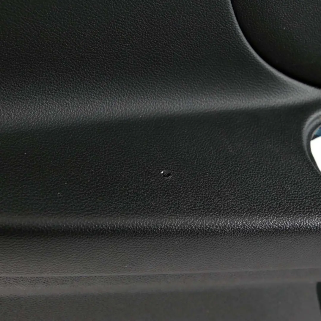 Mini Countryman F60 Frente Izquierda Tarjeta puerta panel cubierta carbono negro - SKU 7476499 - Número de pieza 7476499