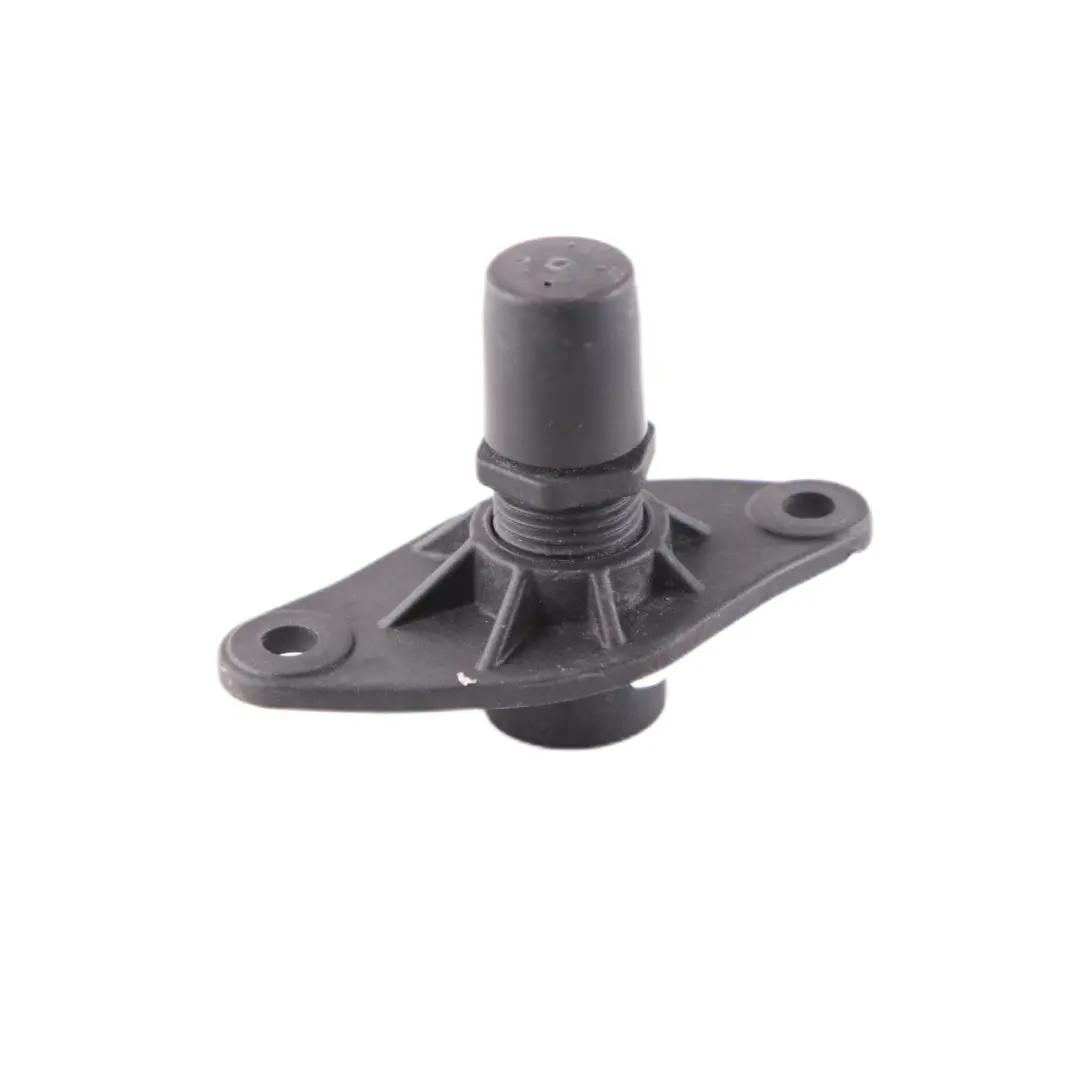 Damper BMW i3 I01 Rear Bump Stop Suppressor Adjustment Element 7361955 to Tailgate with Part number 7484927 Tailgate Damper BMW i3 I01 Rear Bump Stop Suppressor Adjustment Element 7361955 - SKU 7484927 - Part number 7484927