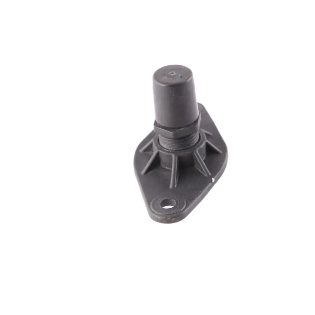 Damper BMW i3 I01 Rear Bump Stop Suppressor Adjustment Element 7361955 to Tailgate with Part number 7484927 Tailgate Damper BMW i3 I01 Rear Bump Stop Suppressor Adjustment Element 7361955 - SKU 7484927 - Part number 7484927