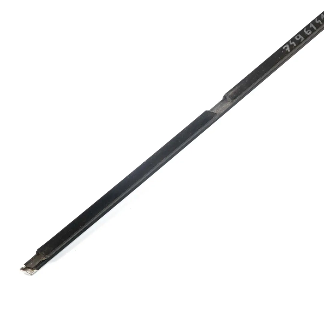 BMW F30 E80 M3 Joint de Puits Extérieur Porte Arrière Gauche Chrome - SKU 7496141 - Numéro de pièce 7496141