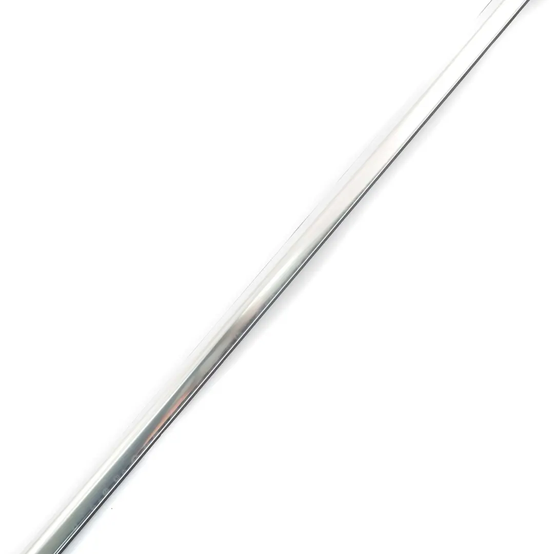 BMW F30 E80 M3 Joint de Puits Extérieur Porte Arrière Gauche Chrome - SKU 7496141 - Numéro de pièce 7496141