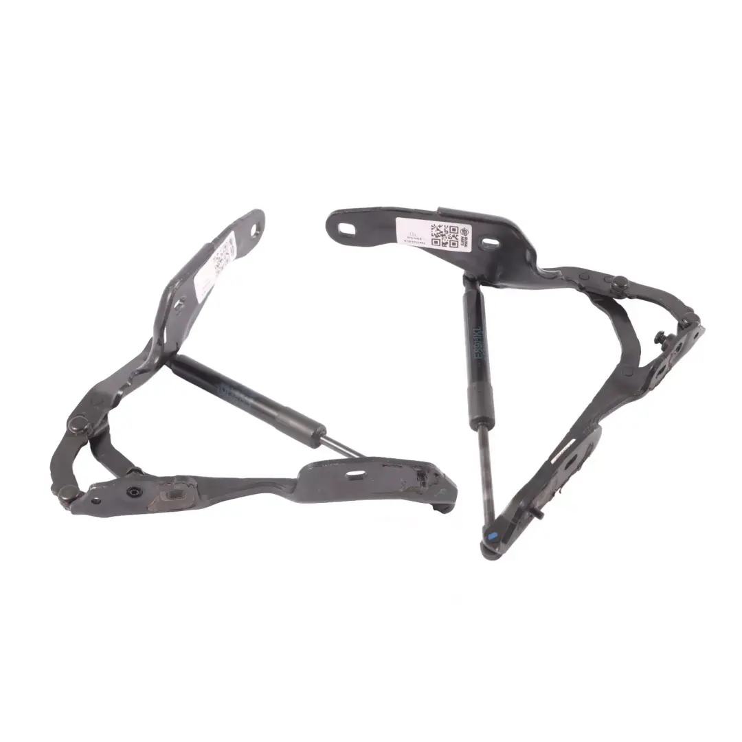 BMW Z4 E89 Trunk Boot Lid Hinge Right Left N/O/S Gas Strut Black Set - SKU 7497733-BLK - Part number 7497733