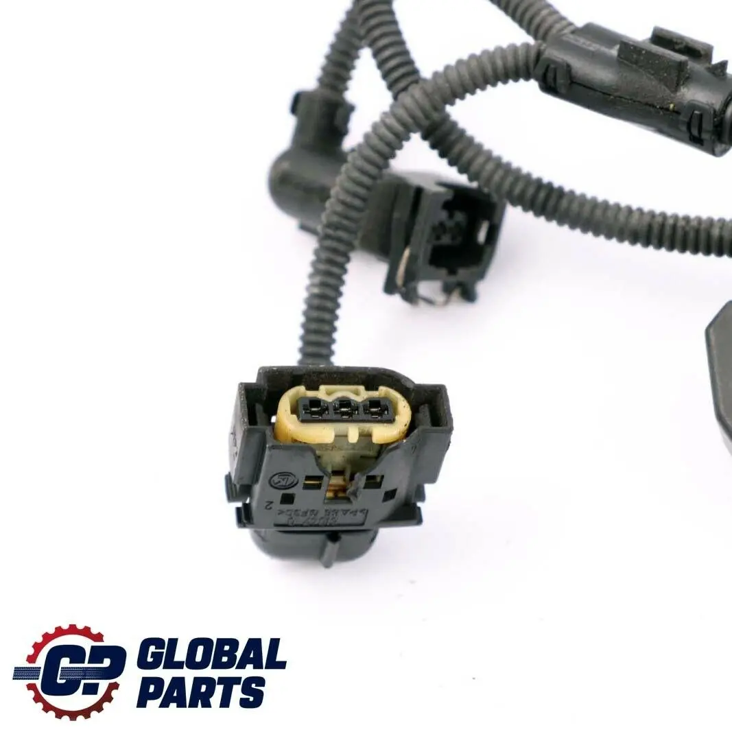 BMW Z4 Serie E85 Gasolina M54 Cableado Mazo Motor Caja De cambios Manual - SKU 7524106 - Número de pieza 7524106