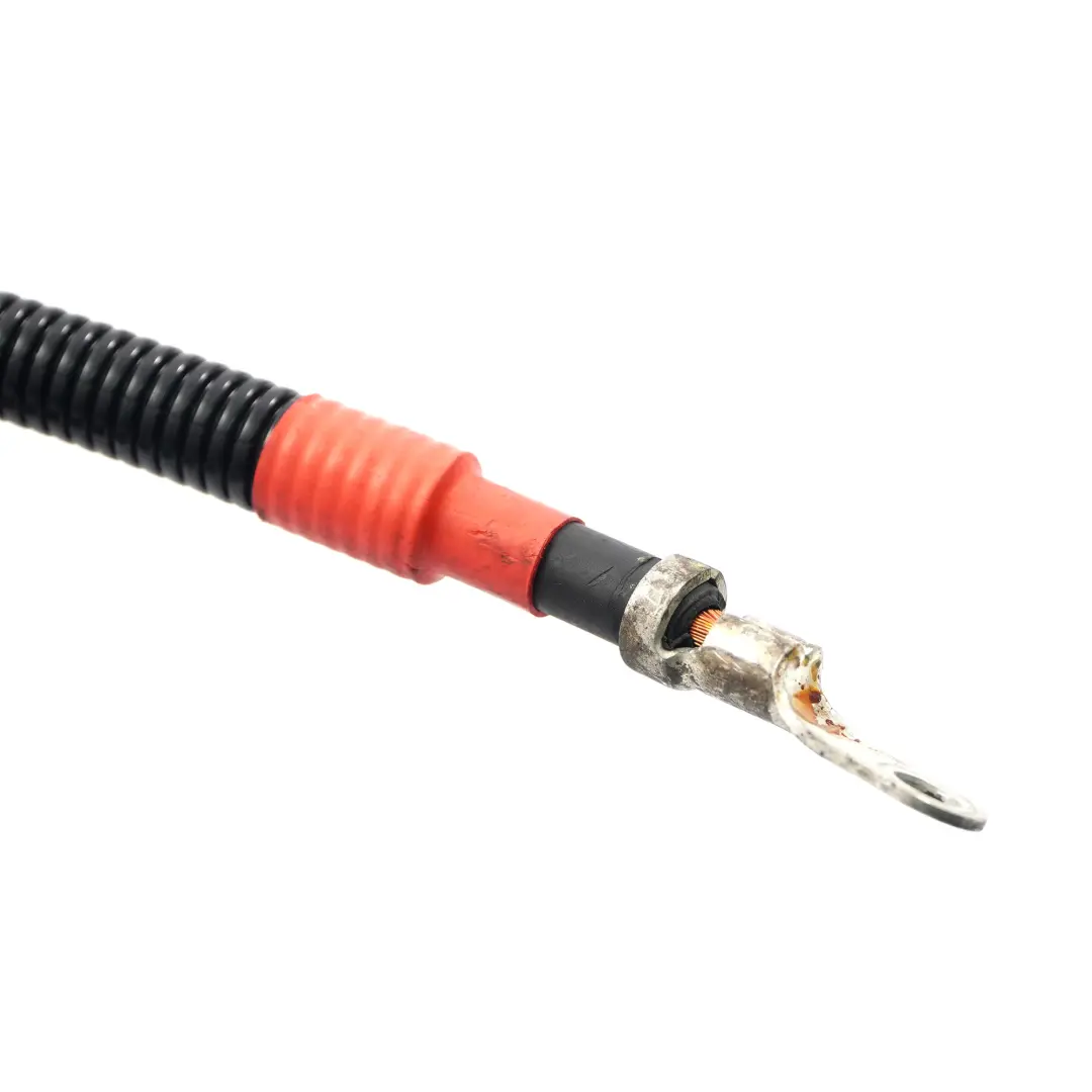 Cable Batterie BMW E60 E61 E63 N62N Alternateur Démarreur Base B Plomb pour à propos du numéro de pièce 7545877 Cable Batterie BMW E60 E61 E63 N62N Alternateur Démarreur Base B Plomb - SKU 7545877 - Numéro de pièce 7545877