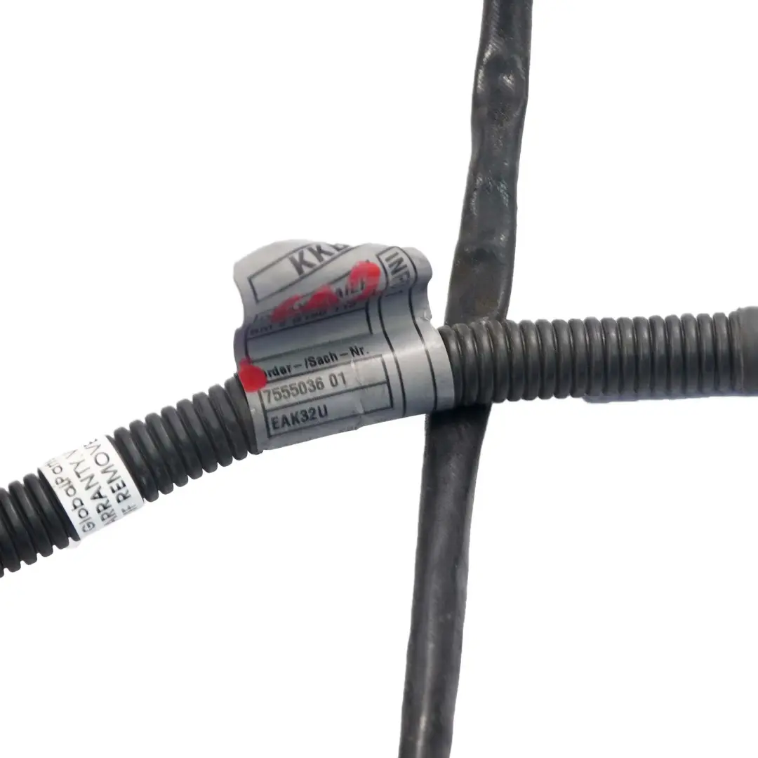 Wiring BMW E92 E93 325i 330i N52N Cable Harness Gearbox Module to Engine with Part number 7555036 Engine Wiring BMW E92 E93 325i 330i N52N Cable Harness Gearbox Module - SKU 7555036 - Part number 7555036