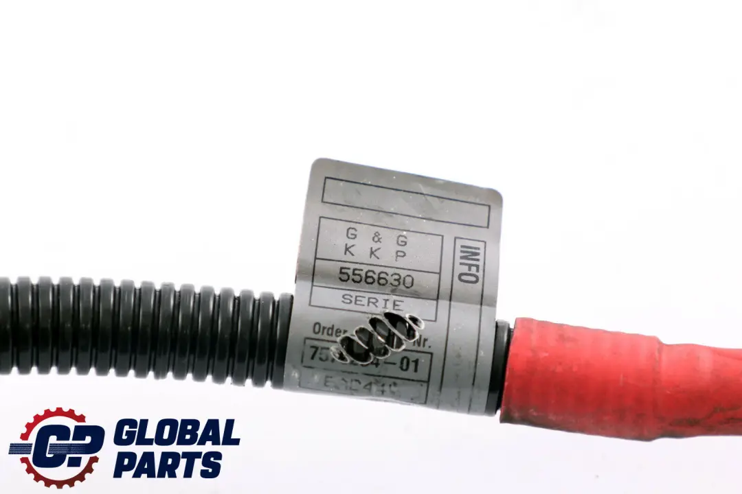 Cable Plus BMW X1 E81 E87 E90 E91 N45 N46 Cableado Alternador Arranque para con número de pieza 7524631 Cable Plus BMW X1 E81 E87 E90 E91 N45 N46 Cableado Alternador Arranque - SKU 7570254 - Número de pieza 7524631