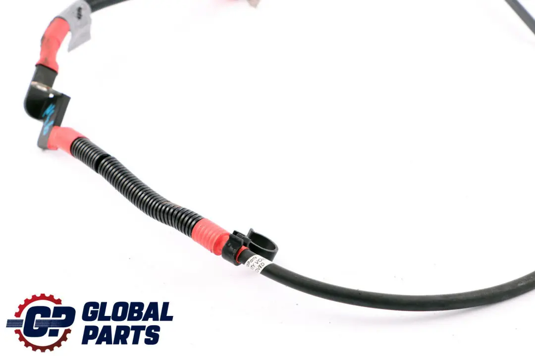 Cavo Plus BMW X1 E81 E87 E90 E91 N45 N46 Cablaggio Alternatore Aviamento per con numero di parte 7524631 Cavo Plus BMW X1 E81 E87 E90 E91 N45 N46 Cablaggio Alternatore Aviamento - SKU 7570254 - Numero di parte 7524631