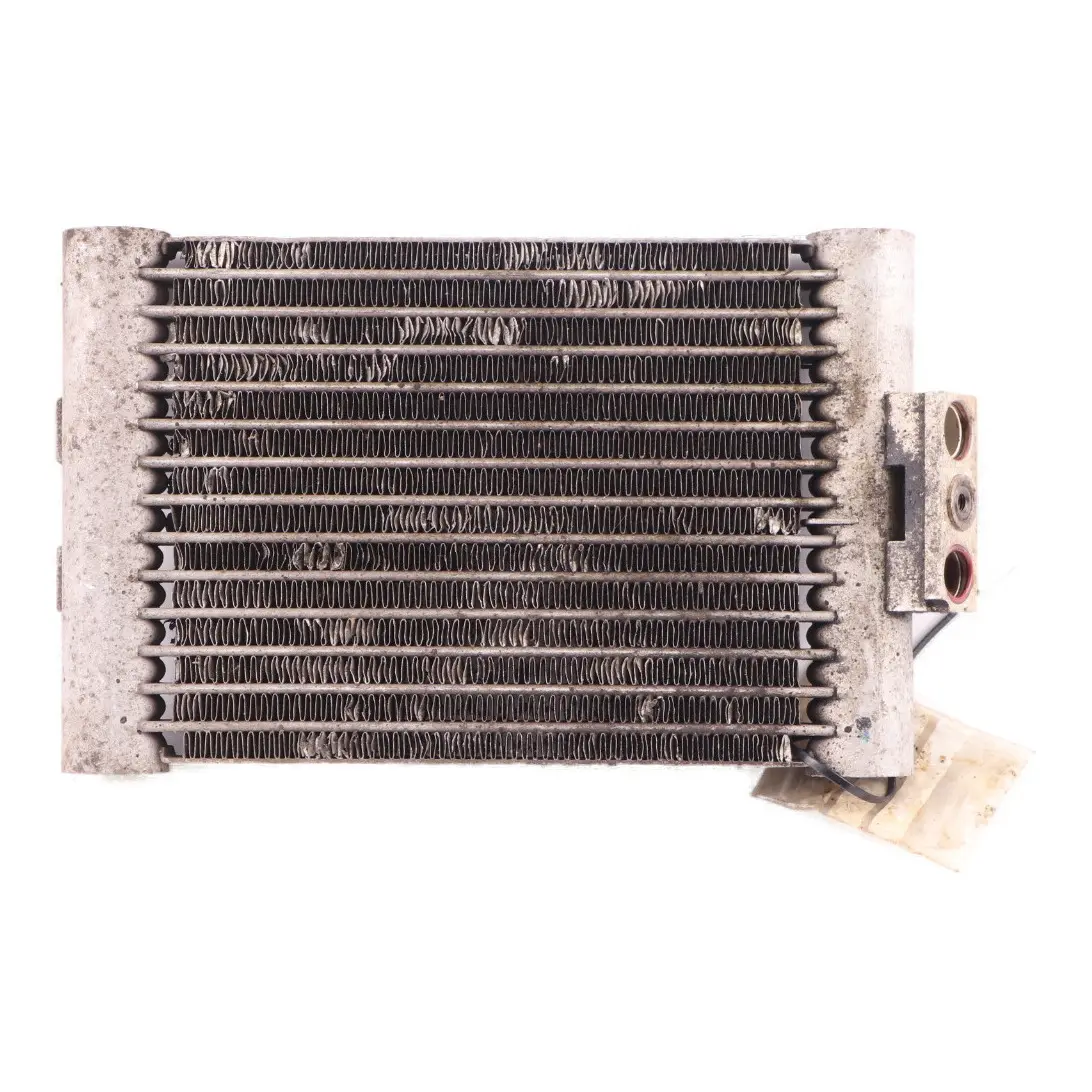 Radiatore motore BMW F20 F21 F30 F32 N55 Radiatore raffreddamento 7618360