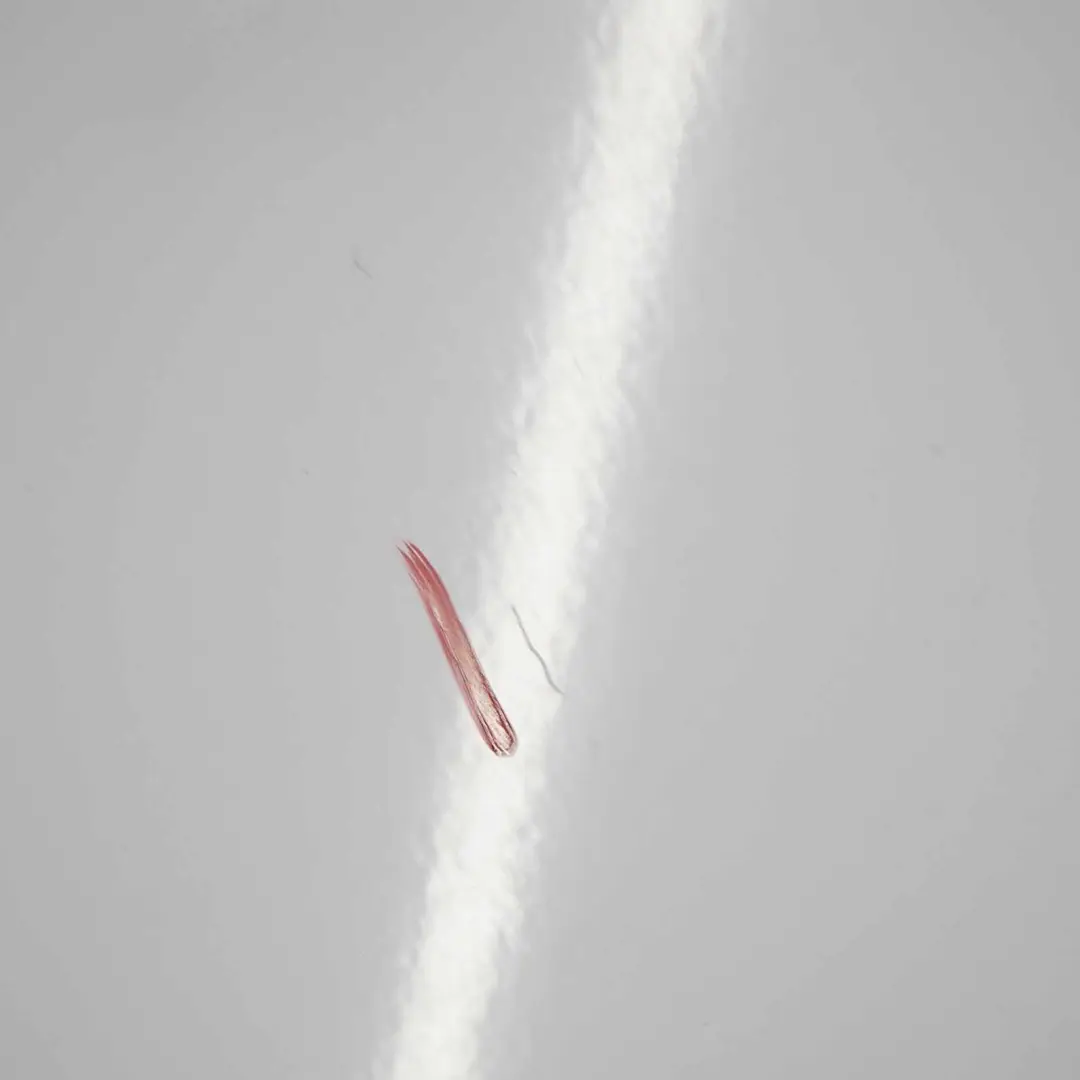 Panneau latéral avant aile droite Cache-ailes Casa White - D31 pour Renault Trafic II à propos du numéro de pièce 7782524467 Renault Trafic II Panneau latéral avant aile droite Cache-ailes Casa White - D31 - SKU 7782524467-CAW - Numéro de pièce 7782524467